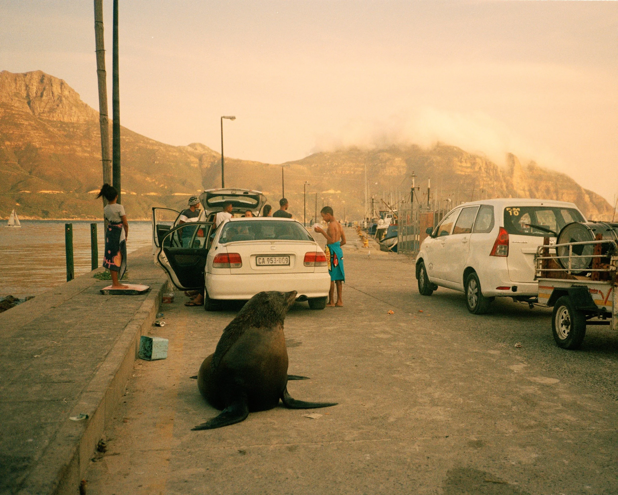 Point and Shoot stories, South Africa