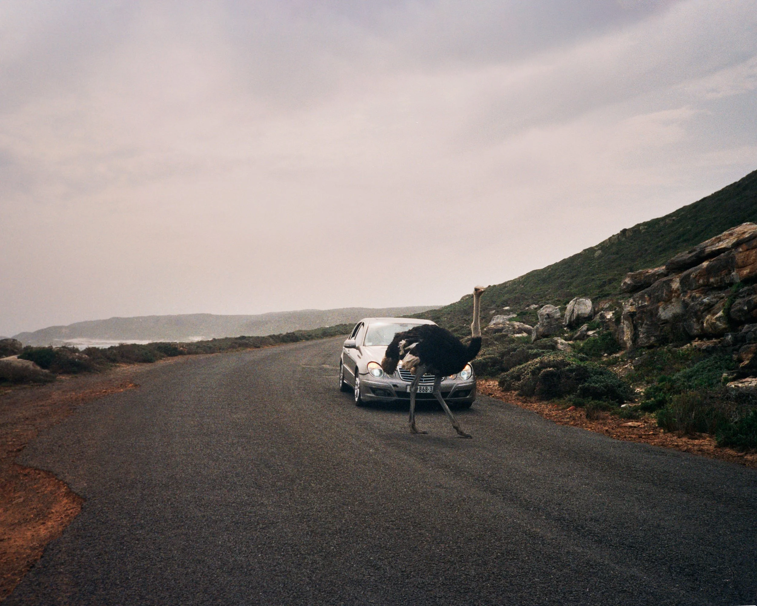 Point and Shoot stories, South Africa