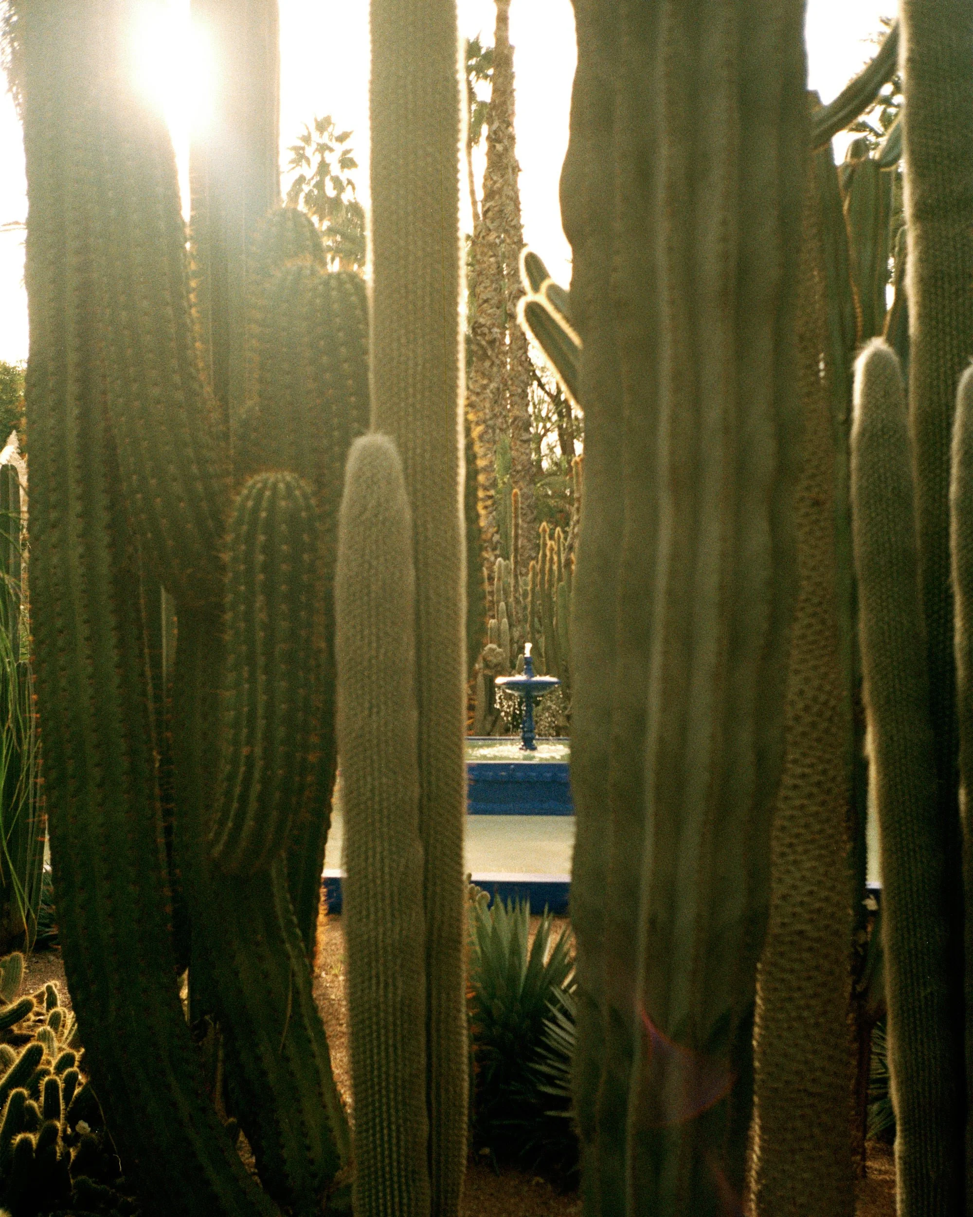 Point and Shoot stories, Morroco