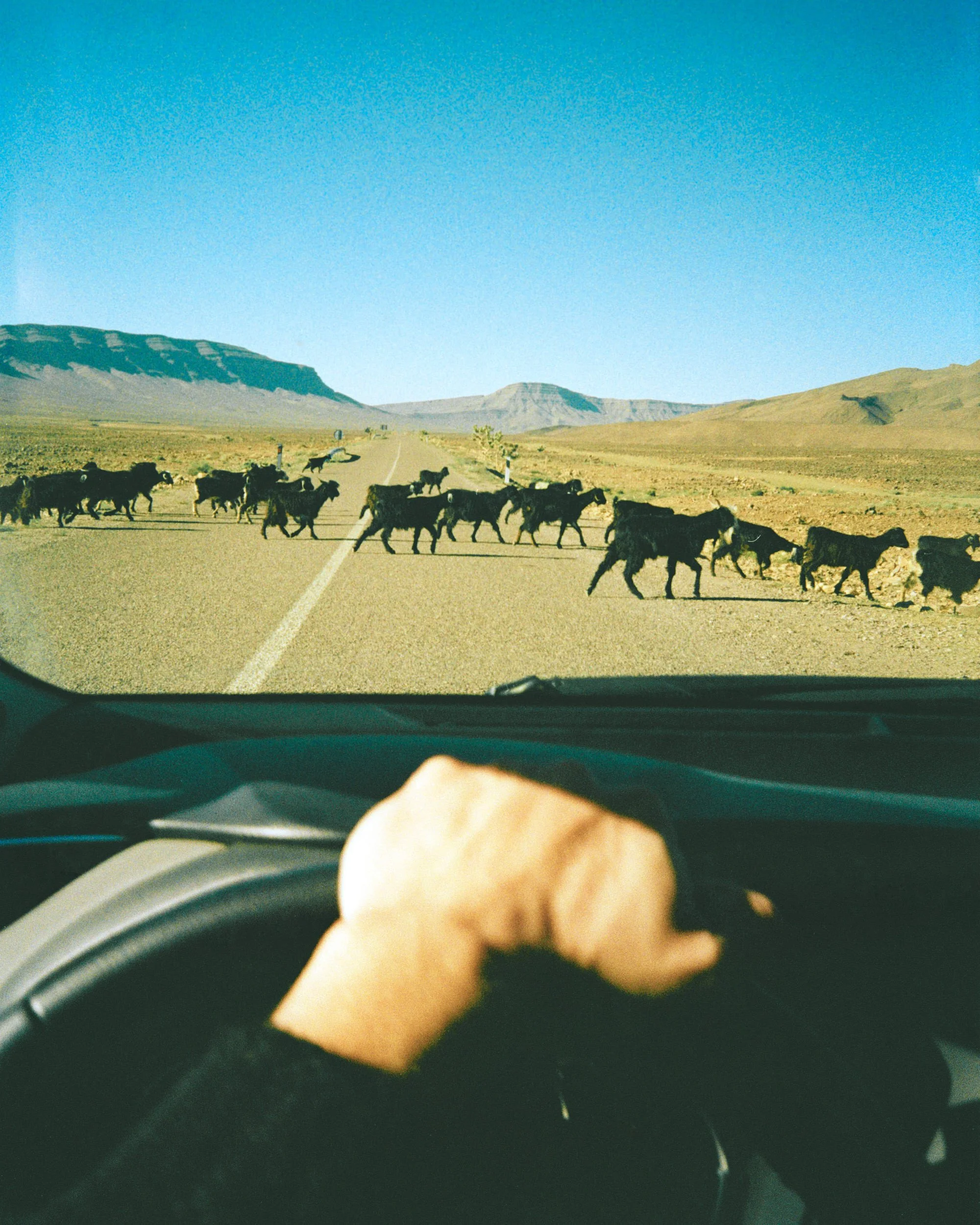 Point and Shoot stories, Morroco