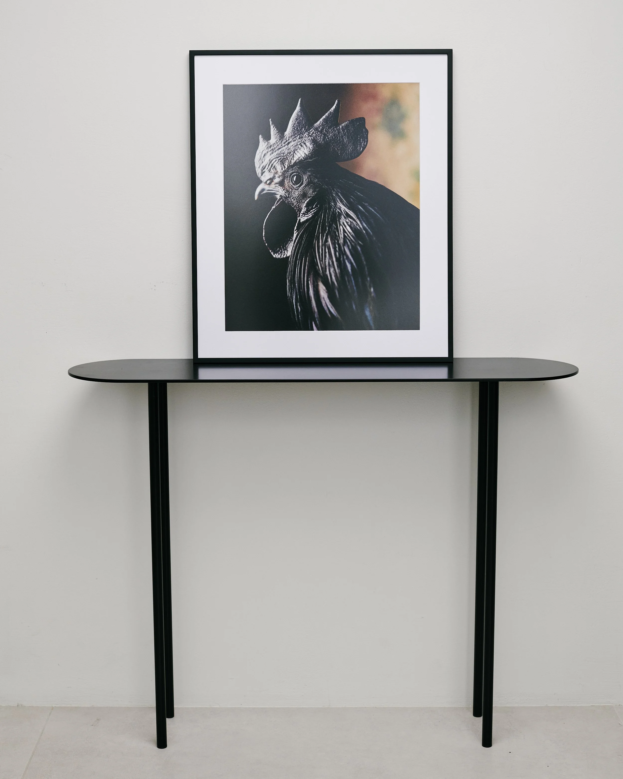 Felix, the black rooster