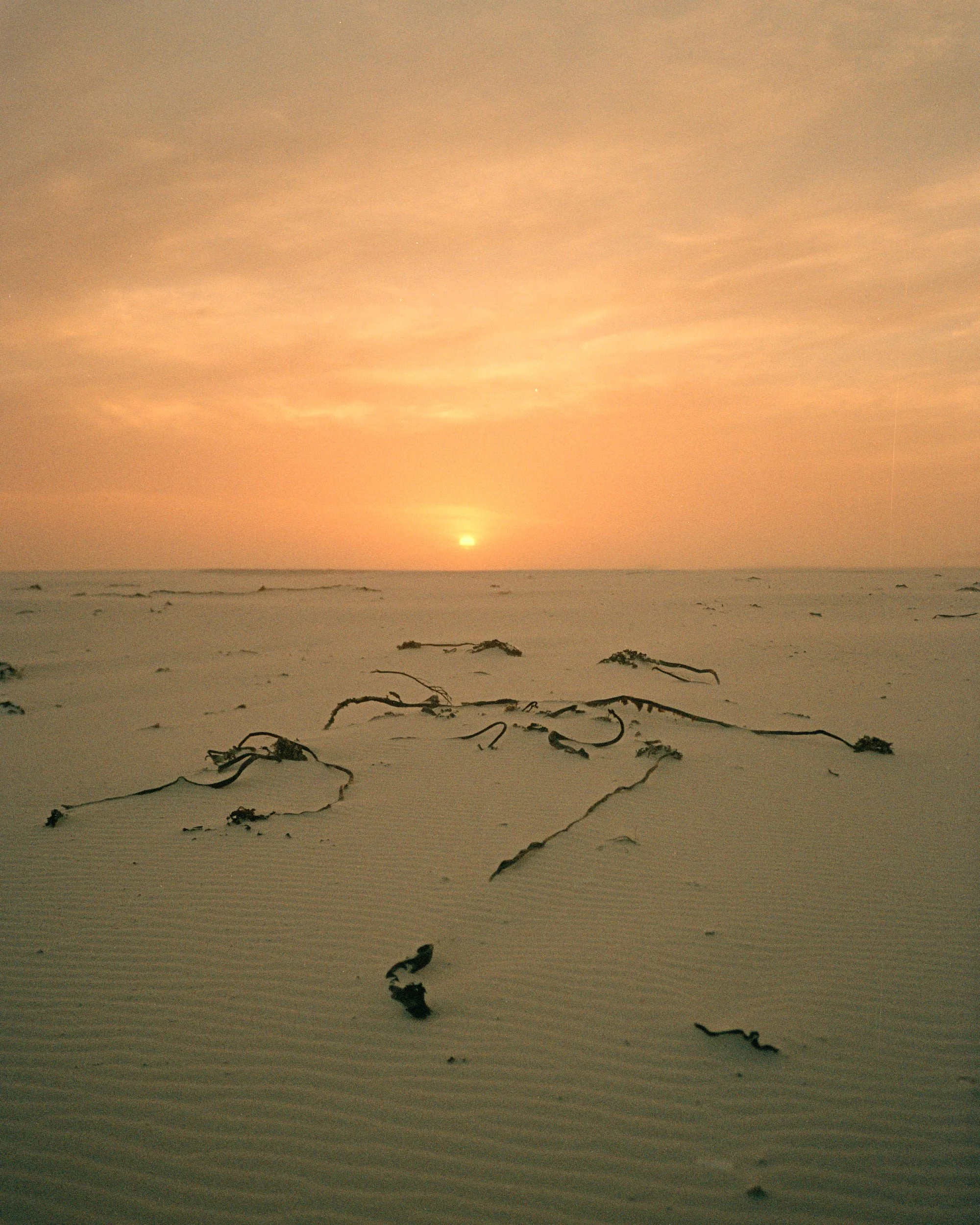 Point and Shoot stories, South Africa