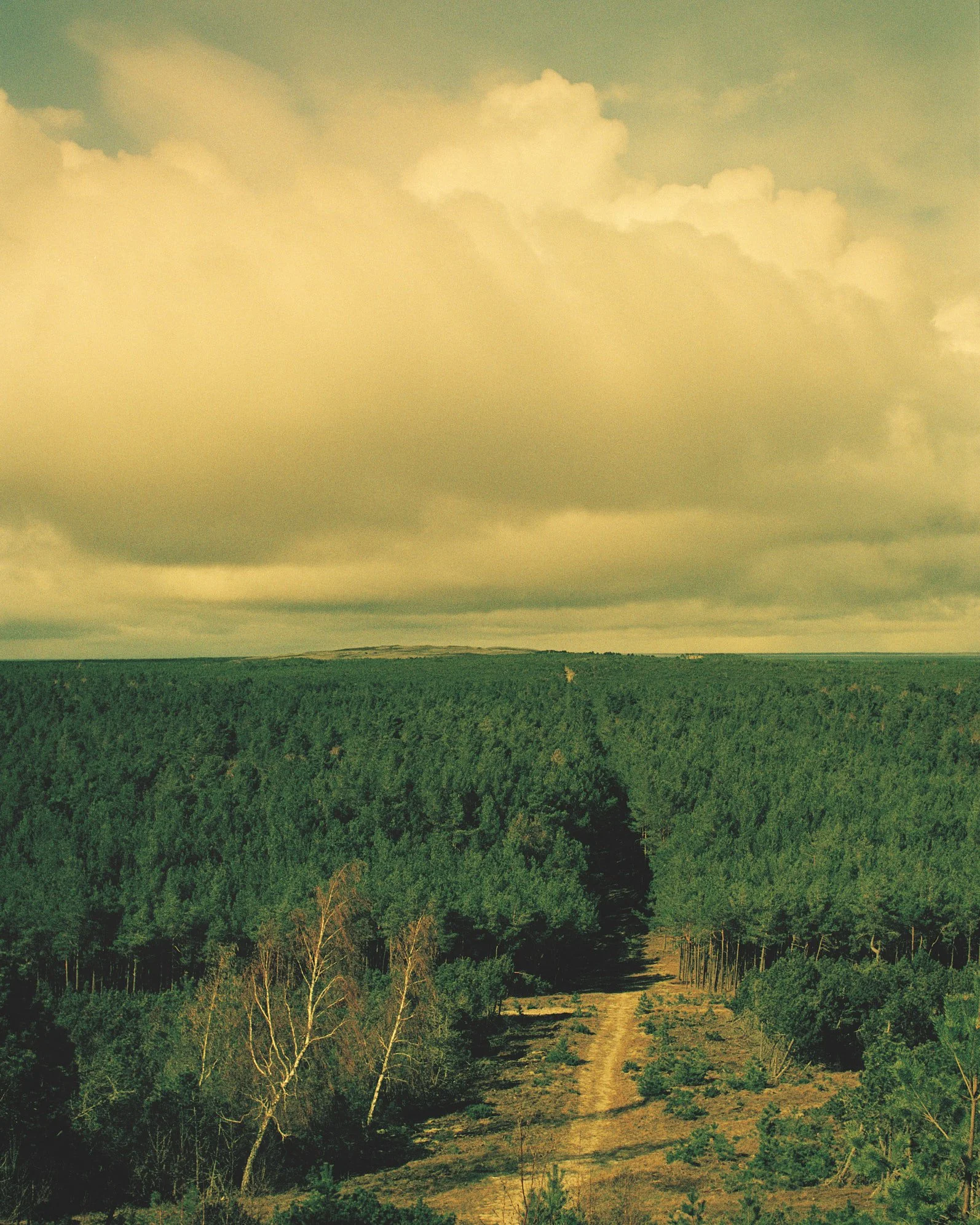Point and Shoot stories, Lithuania #5