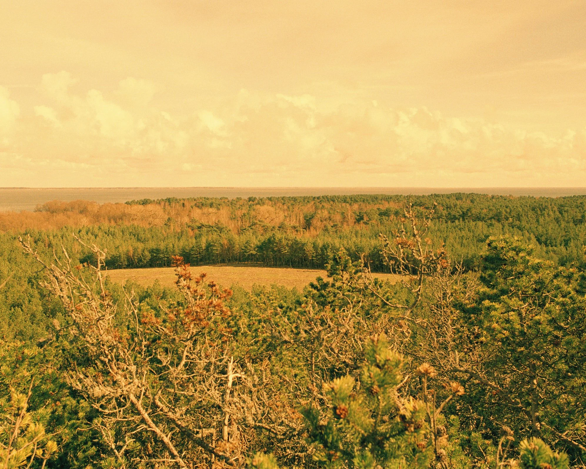 Point and Shoot stories, Lithuania #4