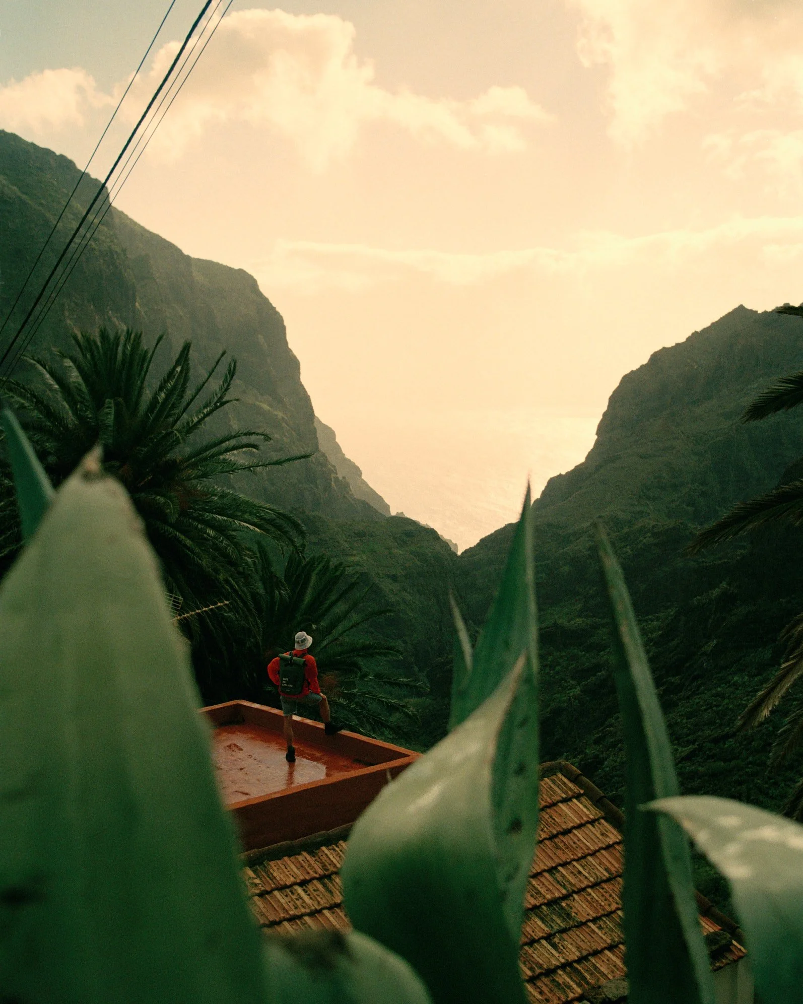 Point and Shoot stories, Tenerife #1